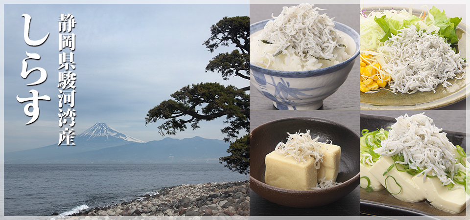 駿河湾産　しらす