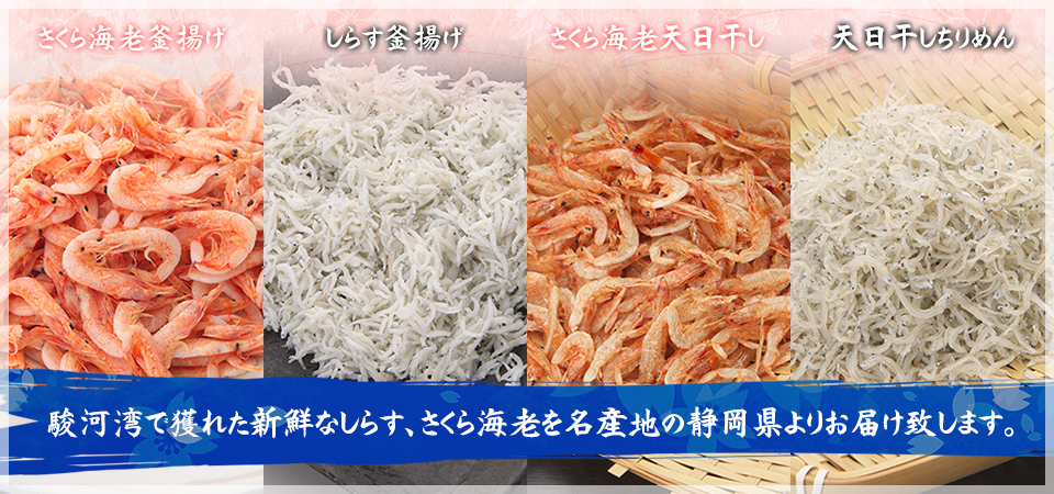 駿河湾産の美味しい食材をお届け！